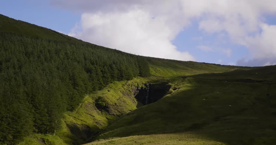 A rolling green hill leads to a forest