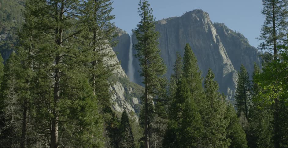 Waterfall streaming off a tall cliff with tall trees in the front