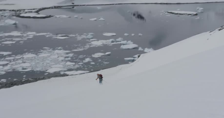 Person quickly skiing down a hill towards a group of people with penguins