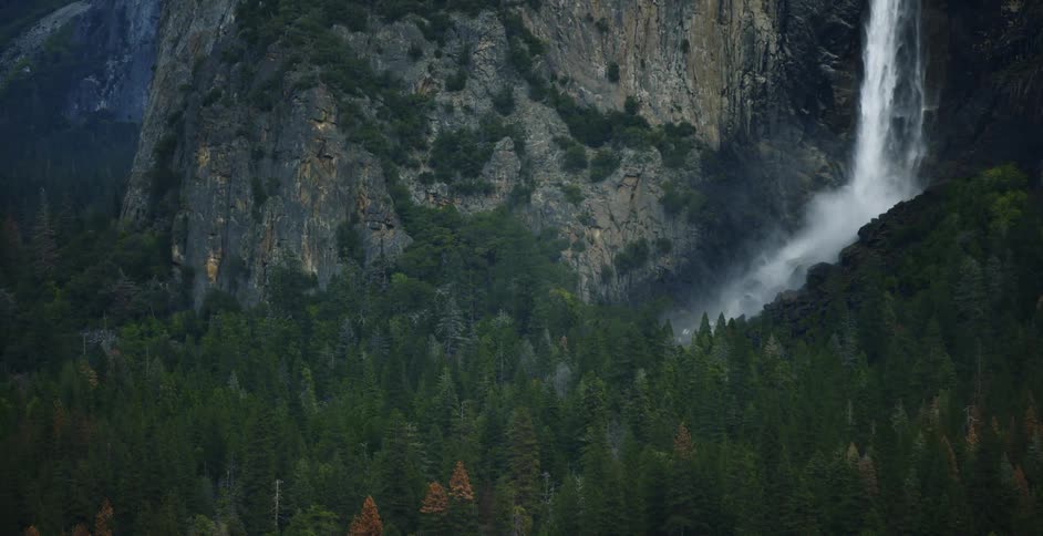 Large waterfall splashing into a river enveloped with trees