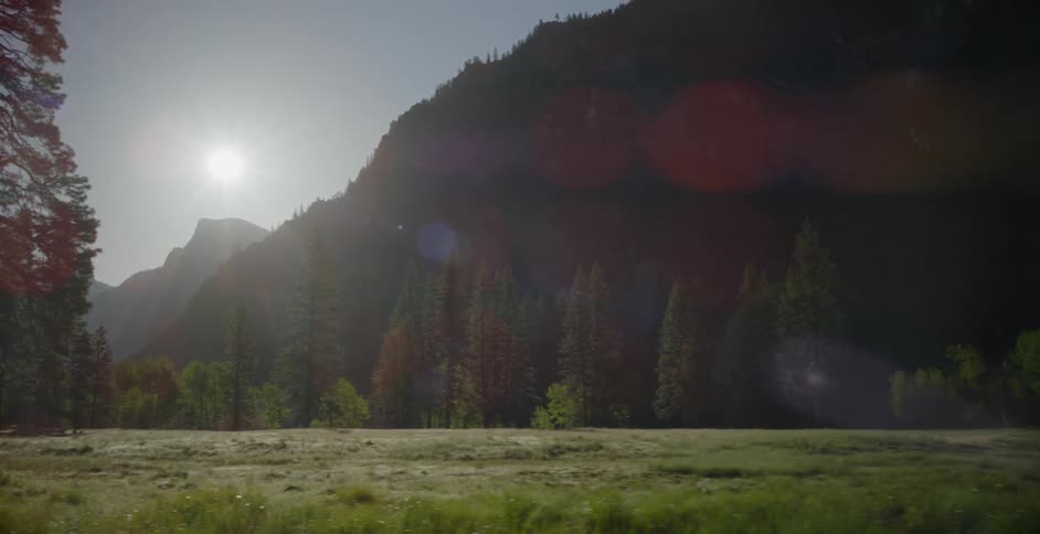 Sunlight shines down on a mountain meadow