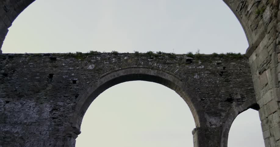 Moss and grass grow on stone arches and columns