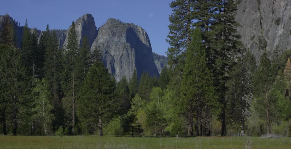 View of tall cliffs and trees behind a grassy field