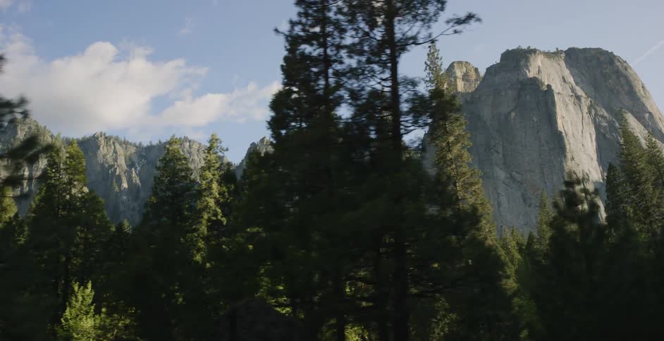 An upper view of trees and a mountain
