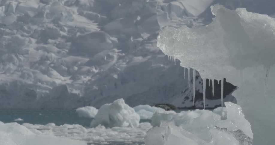 Icicles hanging from snow in the foreground of a glacier