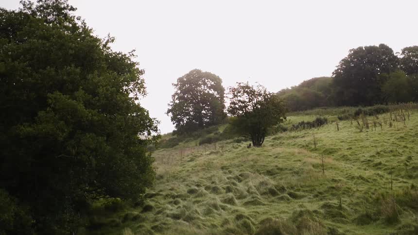 The long hill is covered with grass and some trees