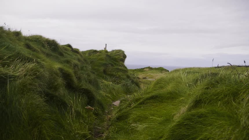 A hilly countryside is covered with grass
