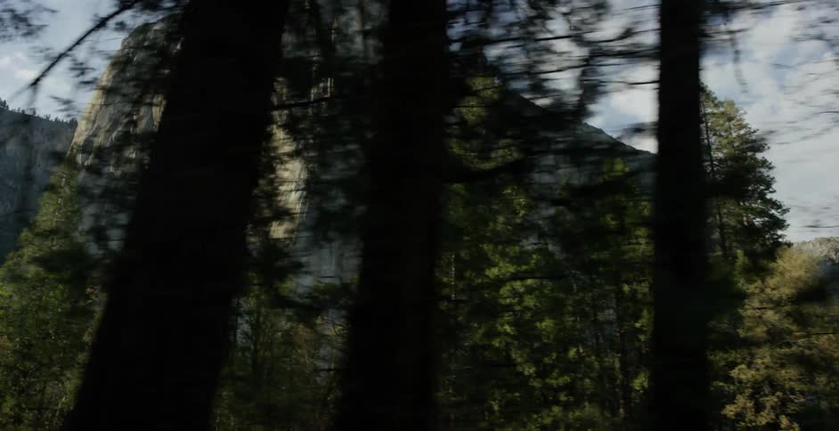 Tall rocky cliff with trees in front of it