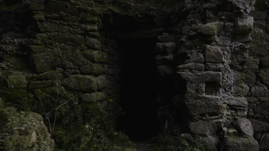 Overgrown ruins surround a dark tunnel