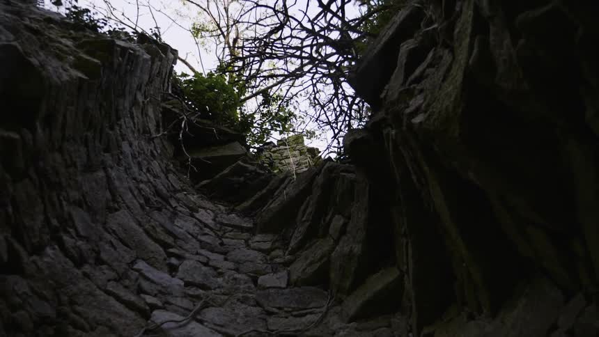 A well with tree at the top and circling around