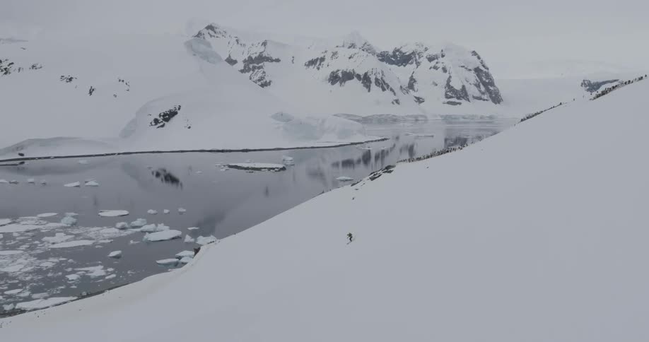 A person skiing down a ridge in Antarctica with hundreds of penguins