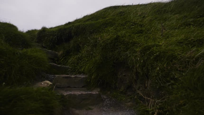 Stone steps go up this grassy mountain