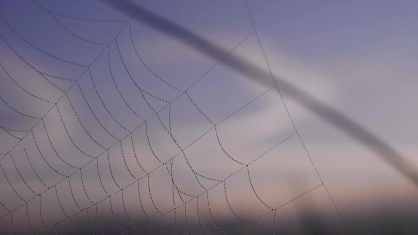 A net is hanging in the sky