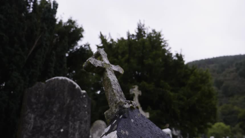 Moss covered tombstones in front of trees