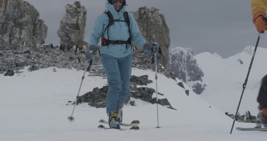 Two people wearing skis walk across snow with penguins