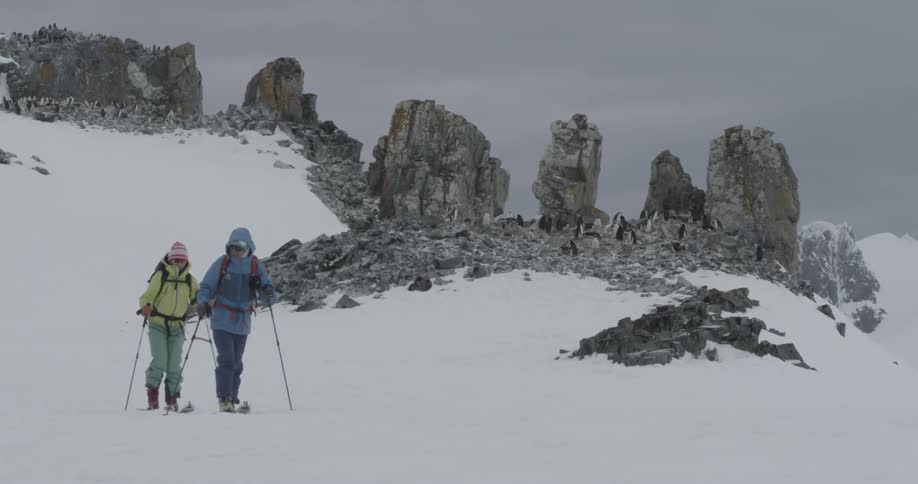 Two people cross country skiing in front of penguin colony