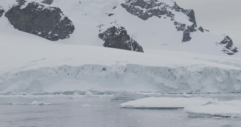 Snow and ice float in a body of water below glacier as penguins swim by
