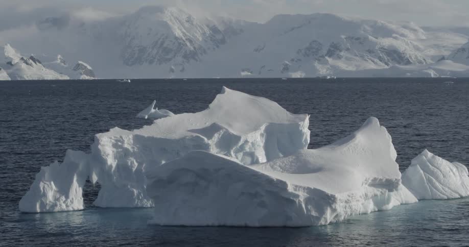 A group of Icebergs float in the water as we move closer