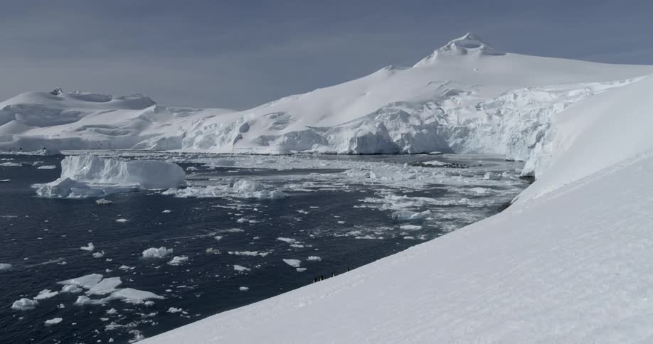 Ice and icebergs float in the ocean off a snow-covered coastline with penguins near the edge