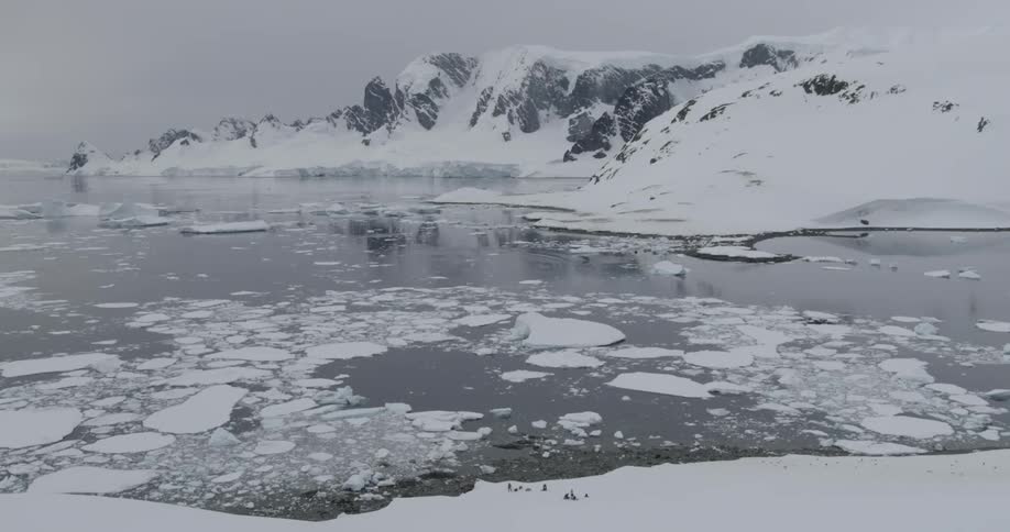 A bay in Antarctica full of Ice in the winter