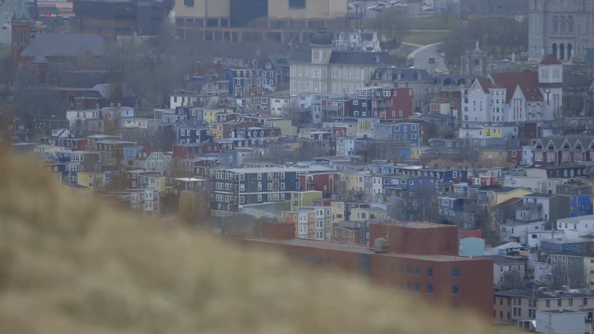 Wide view of a colorful St. John's Newfoundland from a hilltop