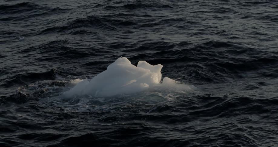 A chunk of ice floats in the water at golden hour