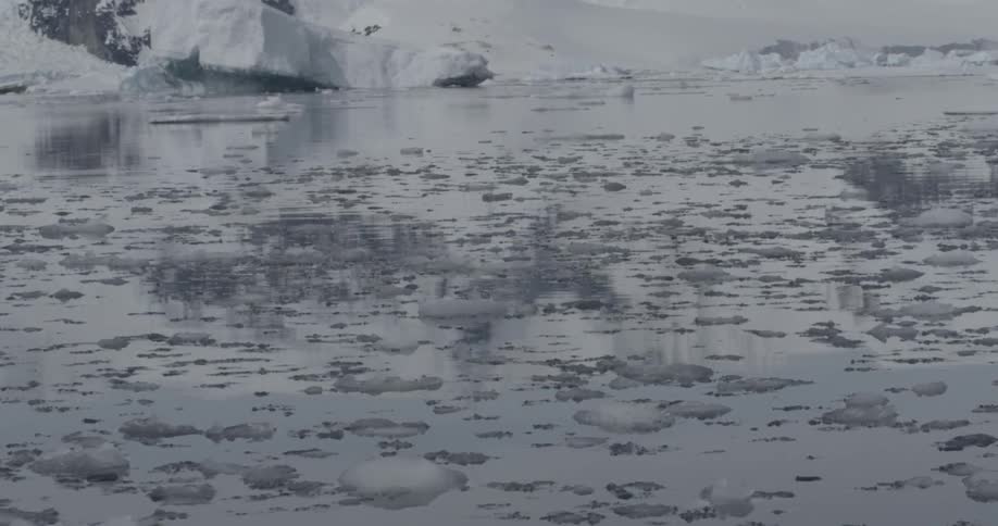 Endless sea ice is melting in the calm ocean