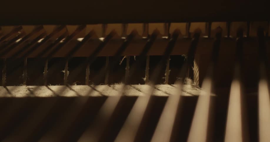 Close-up of piano strings vibrating