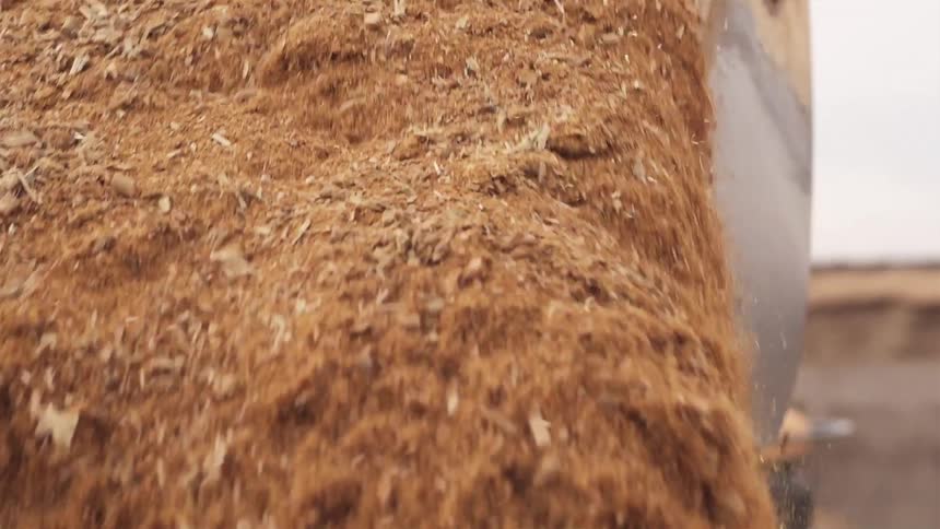 Grain is poured from a plow into a vat