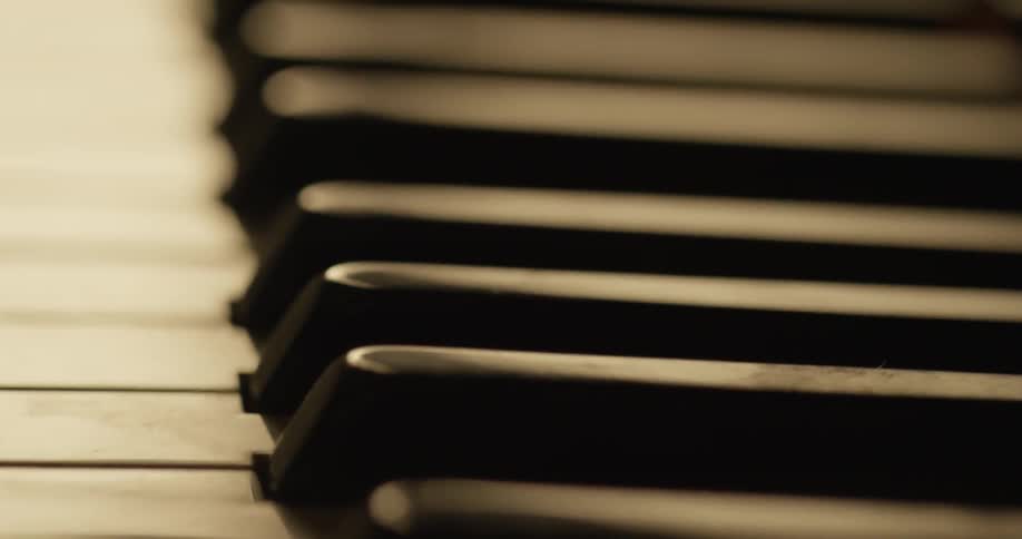 The piano keys are black and white