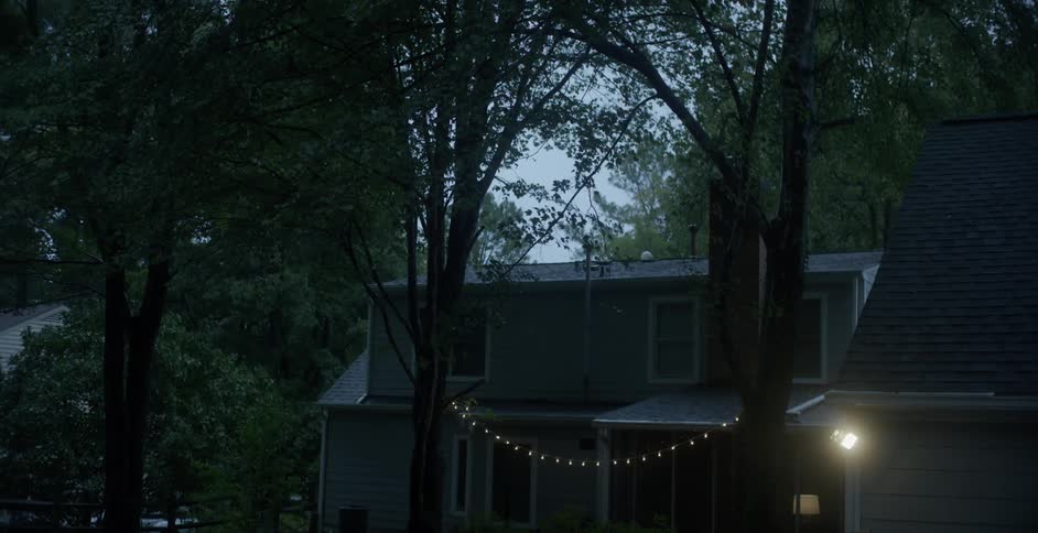 Trees with a line of lights hanging between them in front of a house
