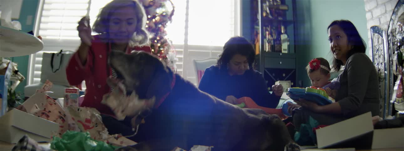 A dog is laying on a living room floor tearing up wrapping paper at christmas