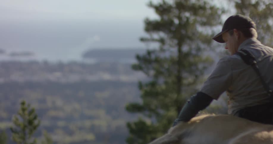 Man petting a dog in the forest