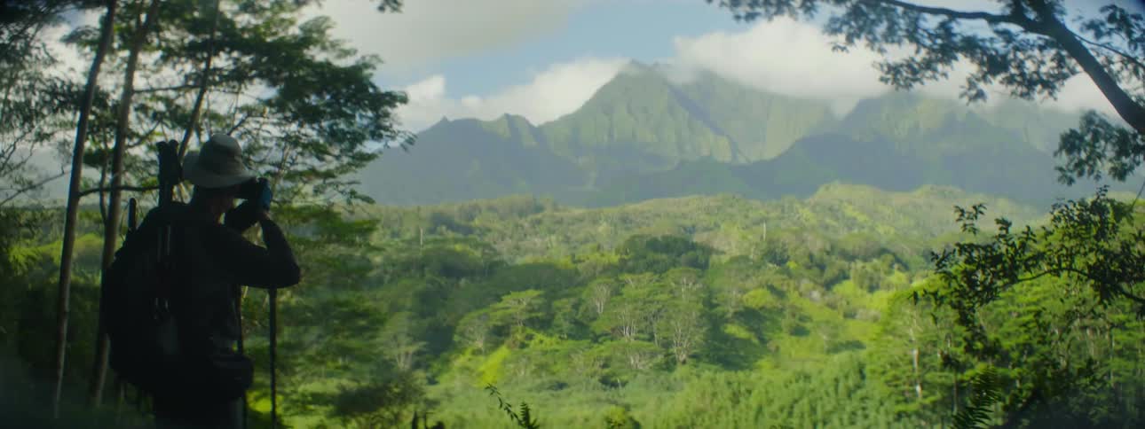 A man takes pictures of a mountain surrounded by trees