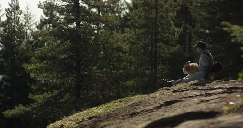 A man and dog sit on a rock in a forest