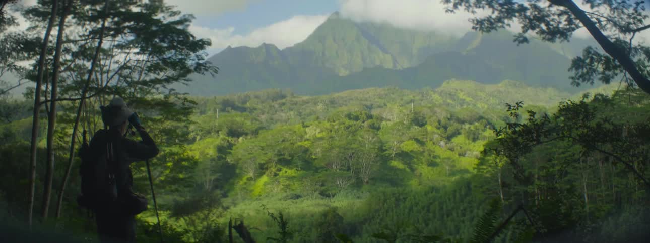 Man carrying walking stick looks out at mountains and trees