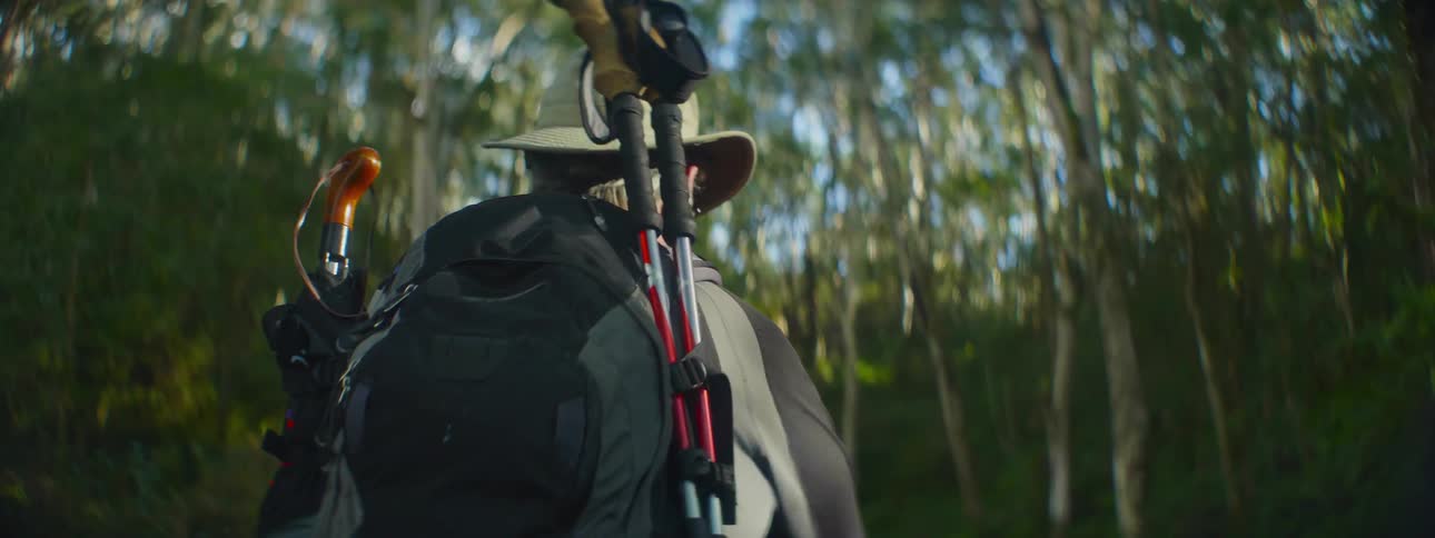 A man with walking sticks hikes through a forest