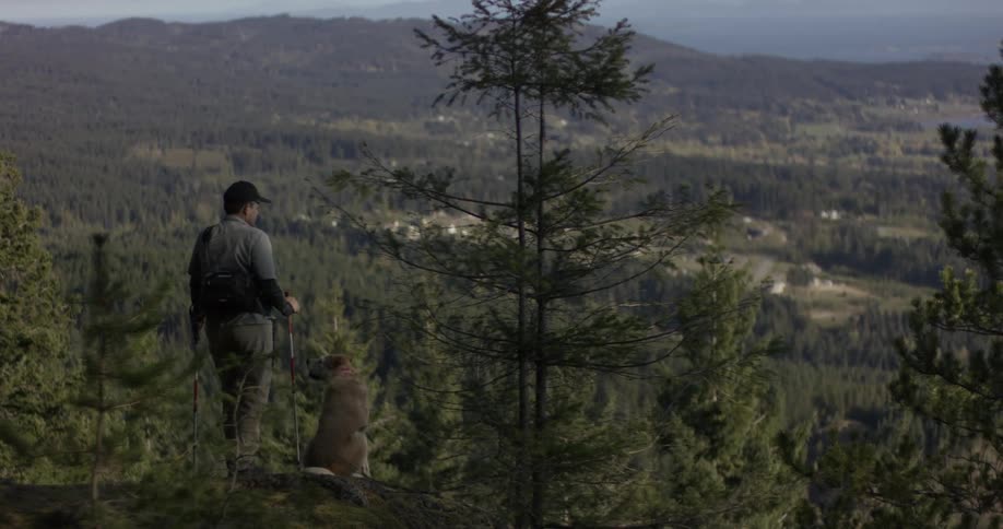 Man and dog hiking in a forest
