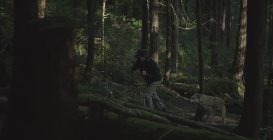 Man and dog hiking in a forest