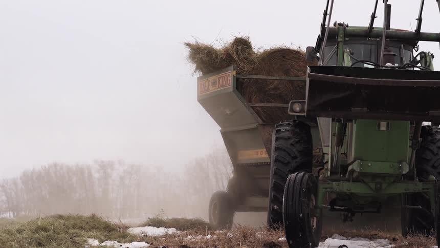 A large farm vehicle is rolling hay