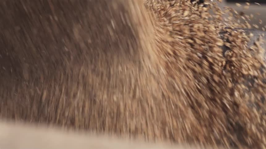 Grain is pouring down from a machine