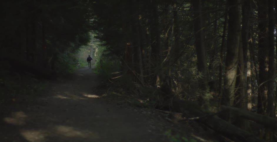 Man walking with a dog in the woods