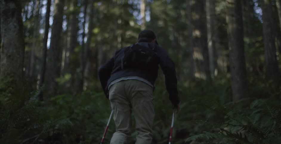 Man hiking in the woods