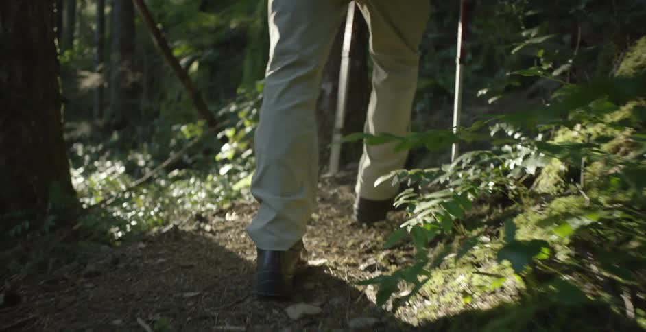 Man hiking in the woods