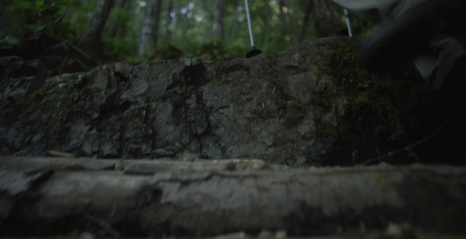 Man and dog walking up some rocks in a forest