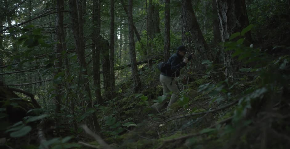 Man hiking up a sloping hill in the forest