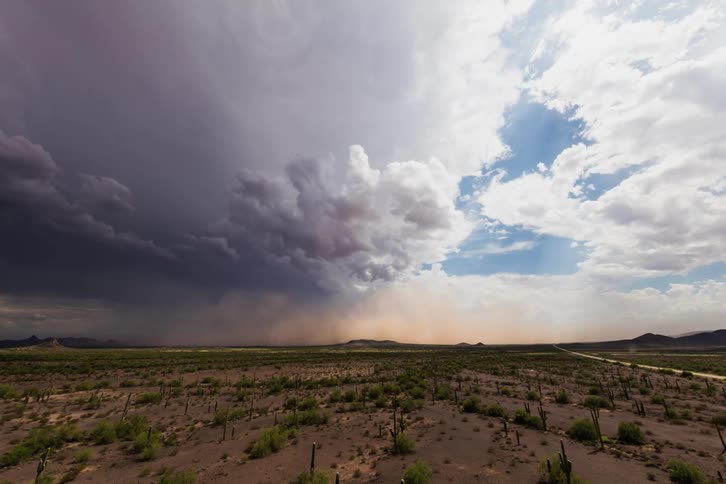 Storm clouds and wind cover the landscape in dust