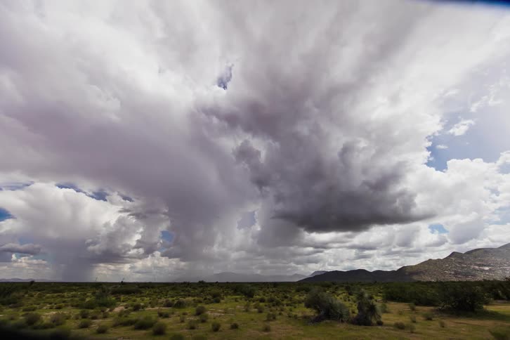 Storm clouds move over bushy plains