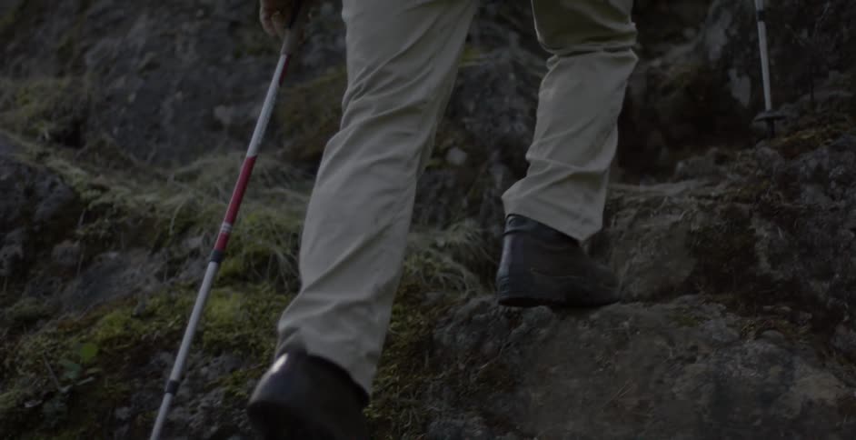 Man hiking in the woods