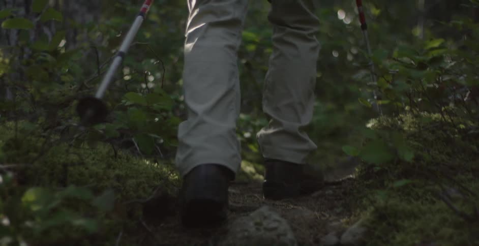 Man hiking in the woods